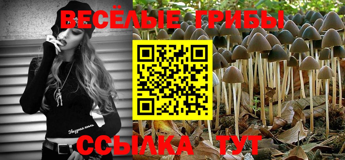 Мытищи  Галлюциногенные грибы Magic Shrooms  Вход с VPN  Галлюциногенные грибы ЛСД 