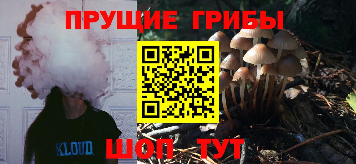 Галлюциногенные грибы Psilocybe Мытищи